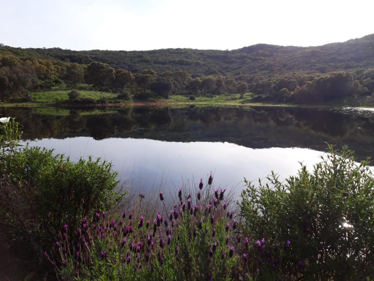 Las Chorreras Del Orejon 1 Villaviciosa de Cordoba ภายนอก รูปภาพ